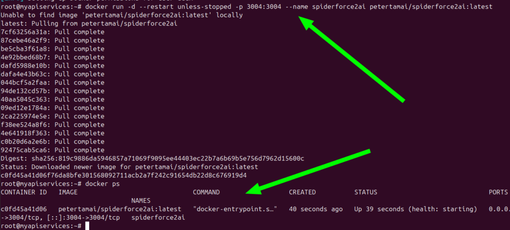 Docker container running successfully